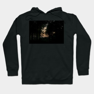 German Romanticism Hoodie